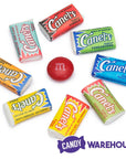 Canel's Miniature Chewing Gum: 220-Piece Bag