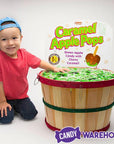 Caramel Apple Pops in Bulk: 1000-Piece Bushel Basket - Candy Warehouse