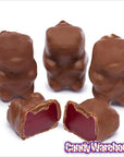 Chocolate Covered Cinnamon Bears: 14-Ounce Bag