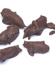 Chocolate Covered Crickets: 100-Piece Tub - Candy Warehouse