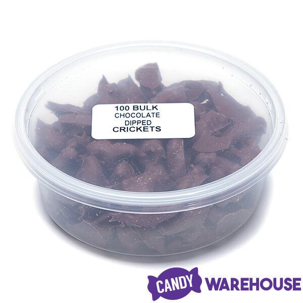 Chocolate Covered Crickets: 100-Piece Tub - Candy Warehouse