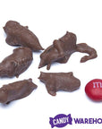 Chocolate Covered Crickets: 100-Piece Tub - Candy Warehouse