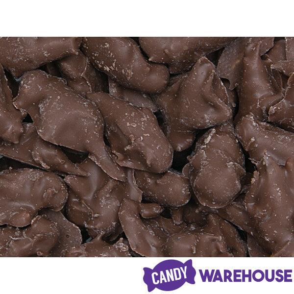 Chocolate Covered Crickets: 100-Piece Tub - Candy Warehouse