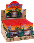 Chocolate Covered Insects Packs: 24-Piece Box - Candy Warehouse