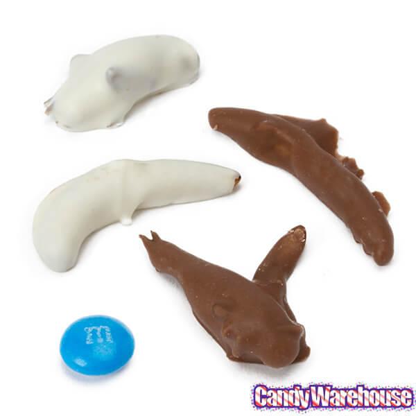 Chocolate Covered Insects Packs: 24-Piece Box - Candy Warehouse