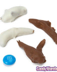 Chocolate Covered Insects Packs: 24-Piece Box - Candy Warehouse