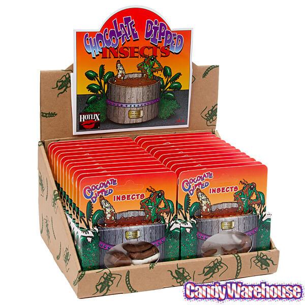 Chocolate Covered Insects Packs: 24-Piece Box - Candy Warehouse