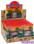 Chocolate Covered Insects Packs: 24-Piece Box - Candy Warehouse