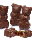 Chocolate Covered Jumbo Gummy Bears: 5LB Box