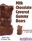 Chocolate Covered Jumbo Gummy Bears: 5LB Box