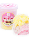 Chocolate Storybook Cotton Candy - Banana Split: 1-Ounce Tub - Candy Warehouse