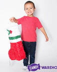 Christmas Stocking Pinata - Candy Warehouse