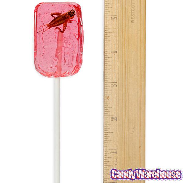 Cricket Lollipops: 36-Piece Box - Candy Warehouse