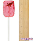 Cricket Lollipops: 36-Piece Box - Candy Warehouse