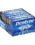 Dentyne Ice Sugar Free Gum Packets - Peppermint: 9-Piece Box