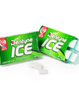 Dentyne Ice Sugar Free Gum Packets - Spearmint: 12-Piece Box - Candy Warehouse