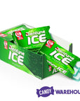 Dentyne Ice Sugar Free Gum Packets - Spearmint: 12-Piece Box - Candy Warehouse