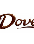 Dove Chocolate Squares Assortment: 150-Piece Bag - Candy Warehouse