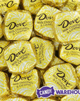 Dove Milk Chocolate Caramel Squares: 24-Piece Bag