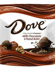 Dove Milk Chocolate Peanut Butter Squares: 24-Piece Bag