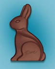 Dove Solid Milk Chocolate 4.5-Ounce Easter Bunny