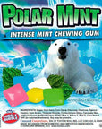 Dubble Bubble Chiclets Chewing Gum Tabs - Polar Mint: 1.5LB Jar - Candy Warehouse