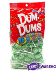 Dum Dums Green Party Pops - Sour Apple: 75-Piece Bag - Candy Warehouse