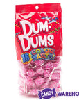 Dum Dums Hot Pink Party Pops - Watermelon: 75-Piece Bag - Candy Warehouse