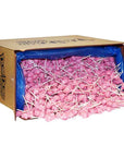 Dum Dums Light Pink Party Pops - Bubble Gum: 5LB Bag