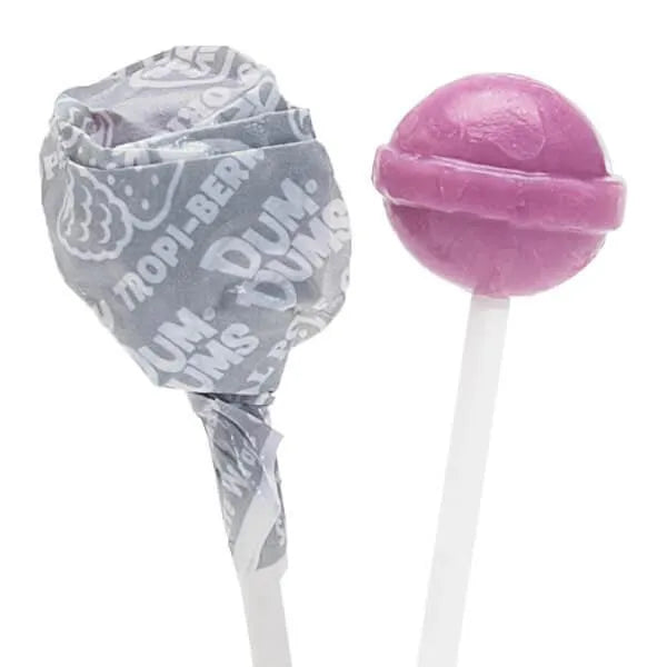 Dum Dums Silver Party Pops - Tropical Berry: 5LB Bag – Candy Warehouse