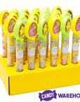 Easter Warheads Sour Jelly Beans Candy Tubes: 24-Piece Display