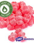 Eddy Edibles Hot Cinnamon CBD Gummies THC Free 100mg: 10 Gummy Bears