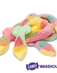 Efrutti Sour Gummy Geckos Candy: 40-Piece Box - Candy Warehouse