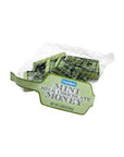 Foiled Milk Chocolate Money Mini Bars in Mesh Bags: 18-Piece Box - Candy Warehouse