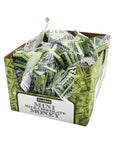 Foiled Milk Chocolate Money Mini Bars in Mesh Bags: 18-Piece Box - Candy Warehouse