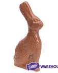 Foiled Solid Milk Chocolate 12-Ounce Easter Bunny - Candy Warehouse