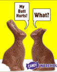 Foiled Solid Milk Chocolate 12-Ounce Easter Bunny - Candy Warehouse