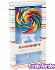 Giant 10-Ounce Rainbow Swirl Lollipop in Gift Box - Candy Warehouse