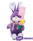 Giant Easter Egg Tote Filled with Candy and Plush Bunny