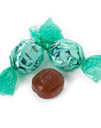 GoLightly Sugar Free Hard Candy - Chocolate Mint: 5LB Bag