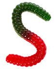 Green & Red 2-Foot-Long Giant Gummy Worm - Candy Warehouse