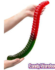 Green & Red 2-Foot-Long Giant Gummy Worm - Candy Warehouse