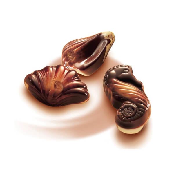 Guylian Chocolate Sea Shells: 6-Piece Gift Box - Candy Warehouse