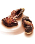 Guylian Chocolate Sea Shells: 6-Piece Gift Box - Candy Warehouse