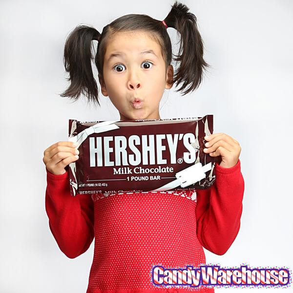 Hershey's 1-Pound Milk Chocolate Bar - Candy Warehouse