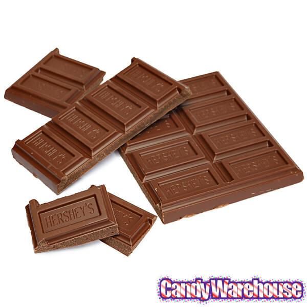 Hershey's 1-Pound Milk Chocolate Bar - Candy Warehouse