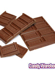 Hershey's 1-Pound Milk Chocolate Bar - Candy Warehouse