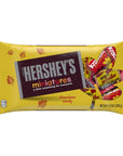 Hershey's Miniatures Autumn Assortment: 9.9-Ounce Bag - Candy Warehouse