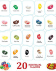 Jelly Belly 20 Flavors Jelly Beans Sampler: 8.5-Ounce Gift Box - Candy Warehouse