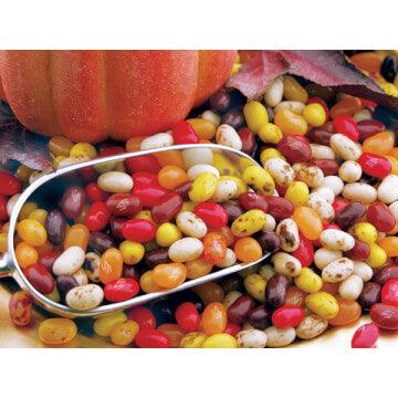 Jelly Belly Autumn Mix: 10LB Case - Candy Warehouse